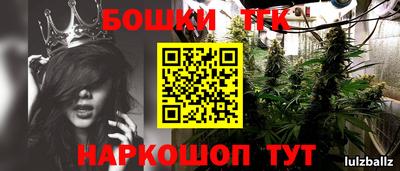 сатива Заволжье