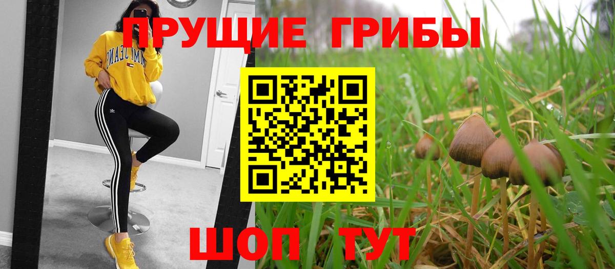 Псилоцибиновые грибы GOLDEN TEACHER  Вход с VPN  Мелеуз 